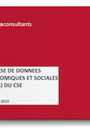Base-de-donnees-economiques-et-sociales-BDSE-CSE-cover PDF, La Base de données économiques et sociales (BDSE) du CSE