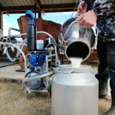 situation économique en 2023 de l'industrie laitière